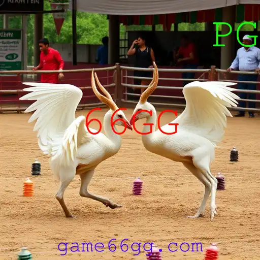 Jogos de sabong
